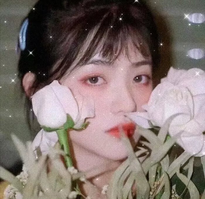 摇滚藏獒蓝色光芒